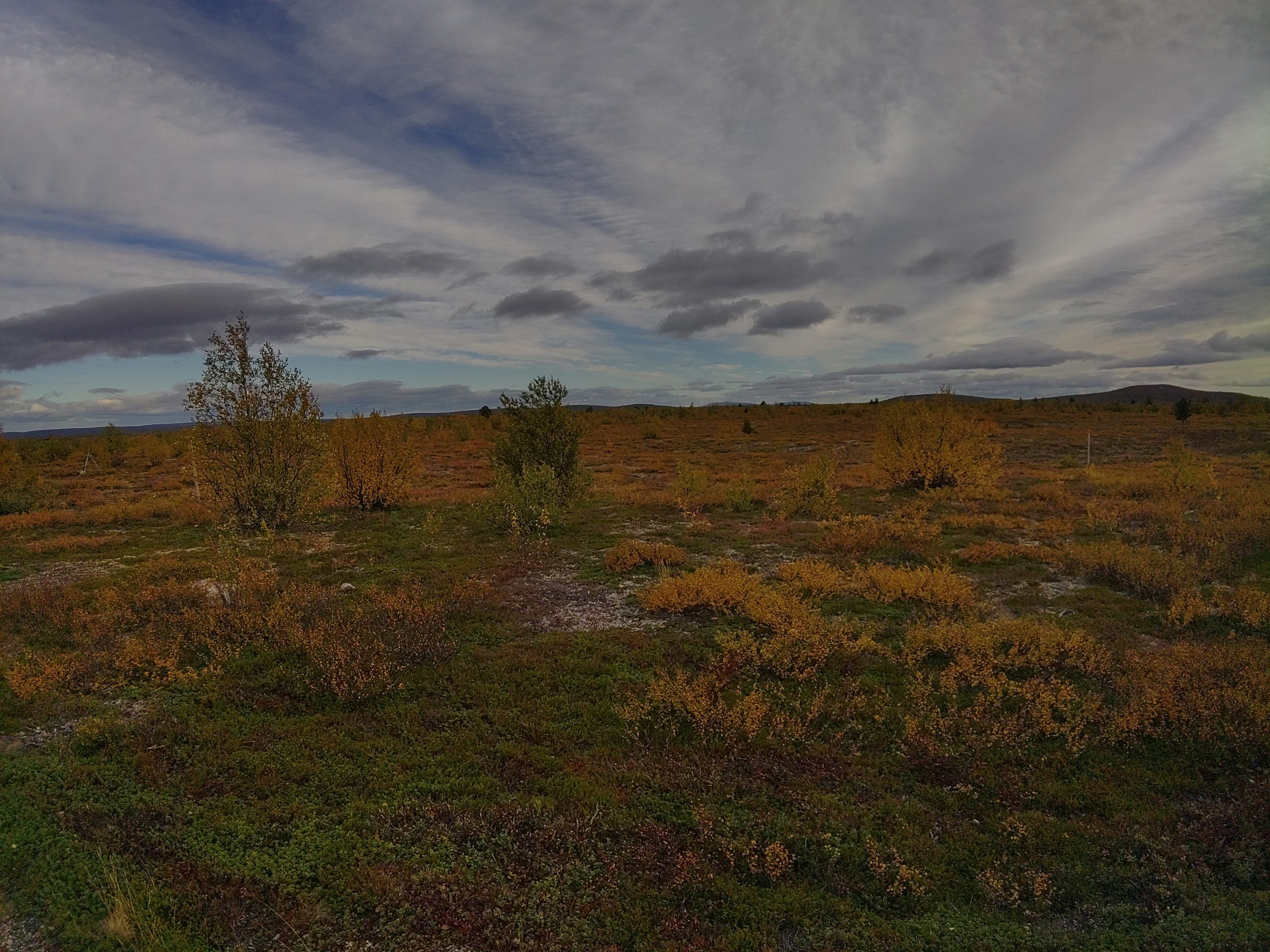 Anlauf fürs Nordkapp