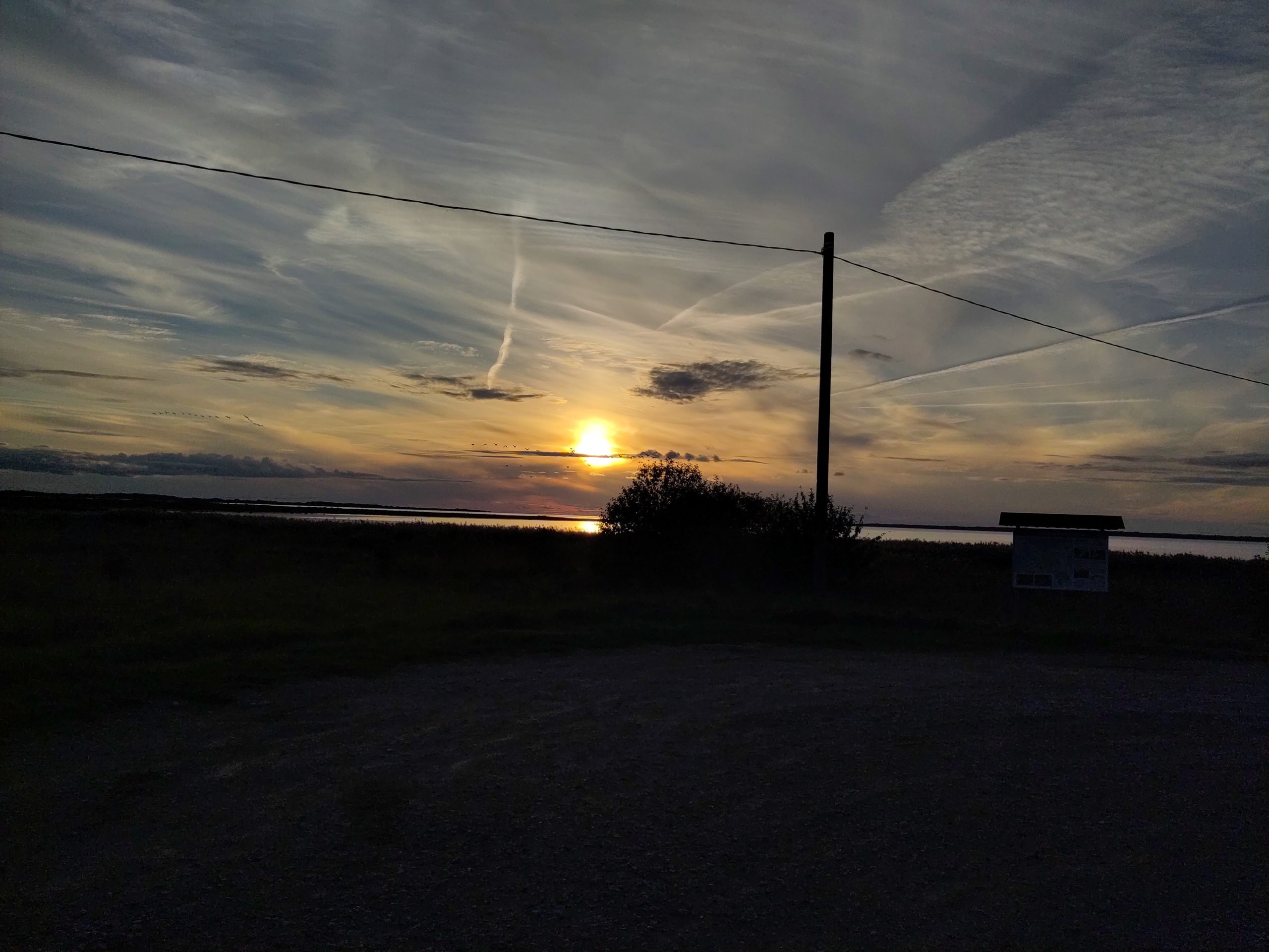 Matsalu, Birder-Oase mit unerwünschten Nebenwirkungen