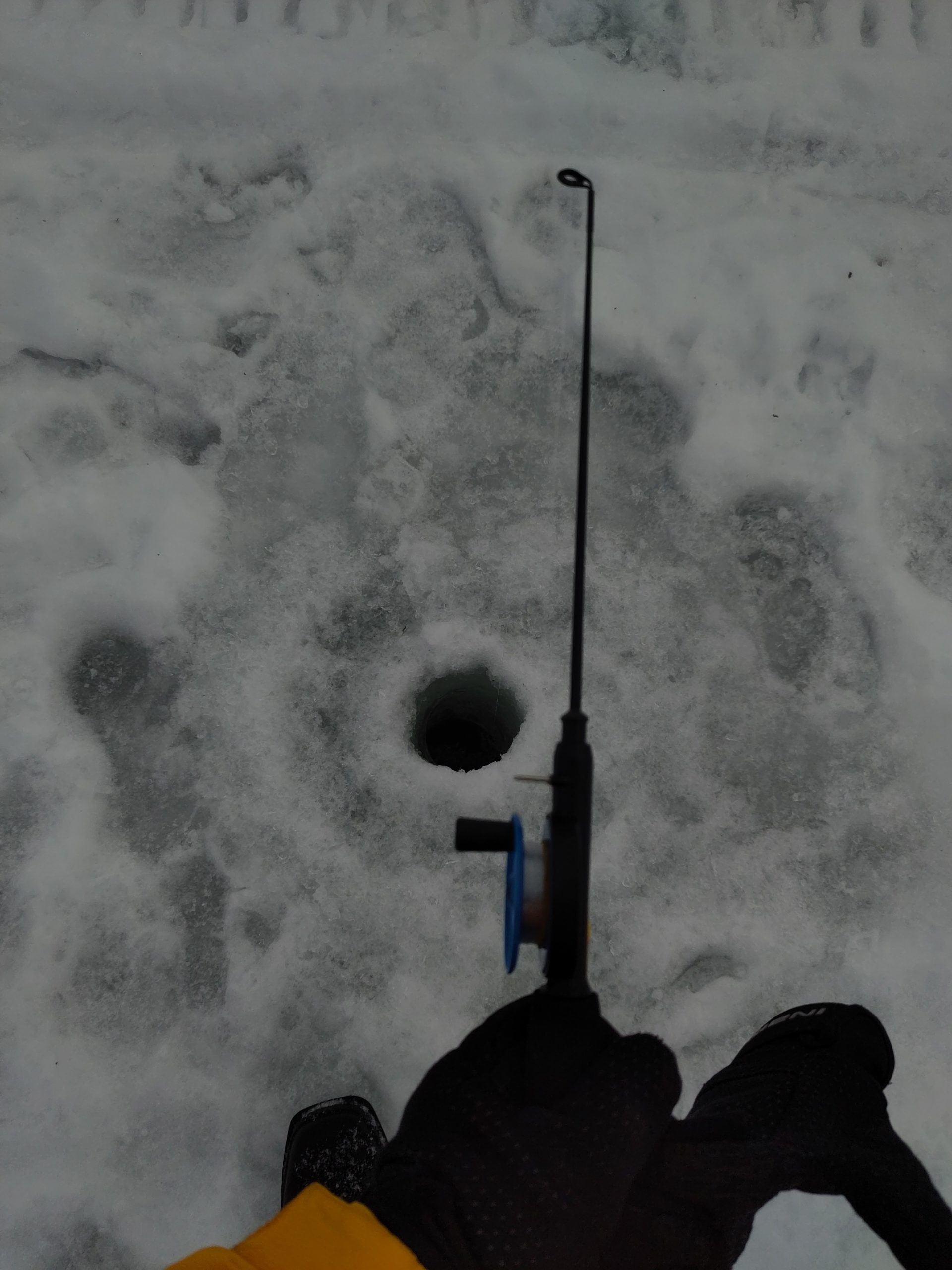 Eis-Fischen in Ivalo