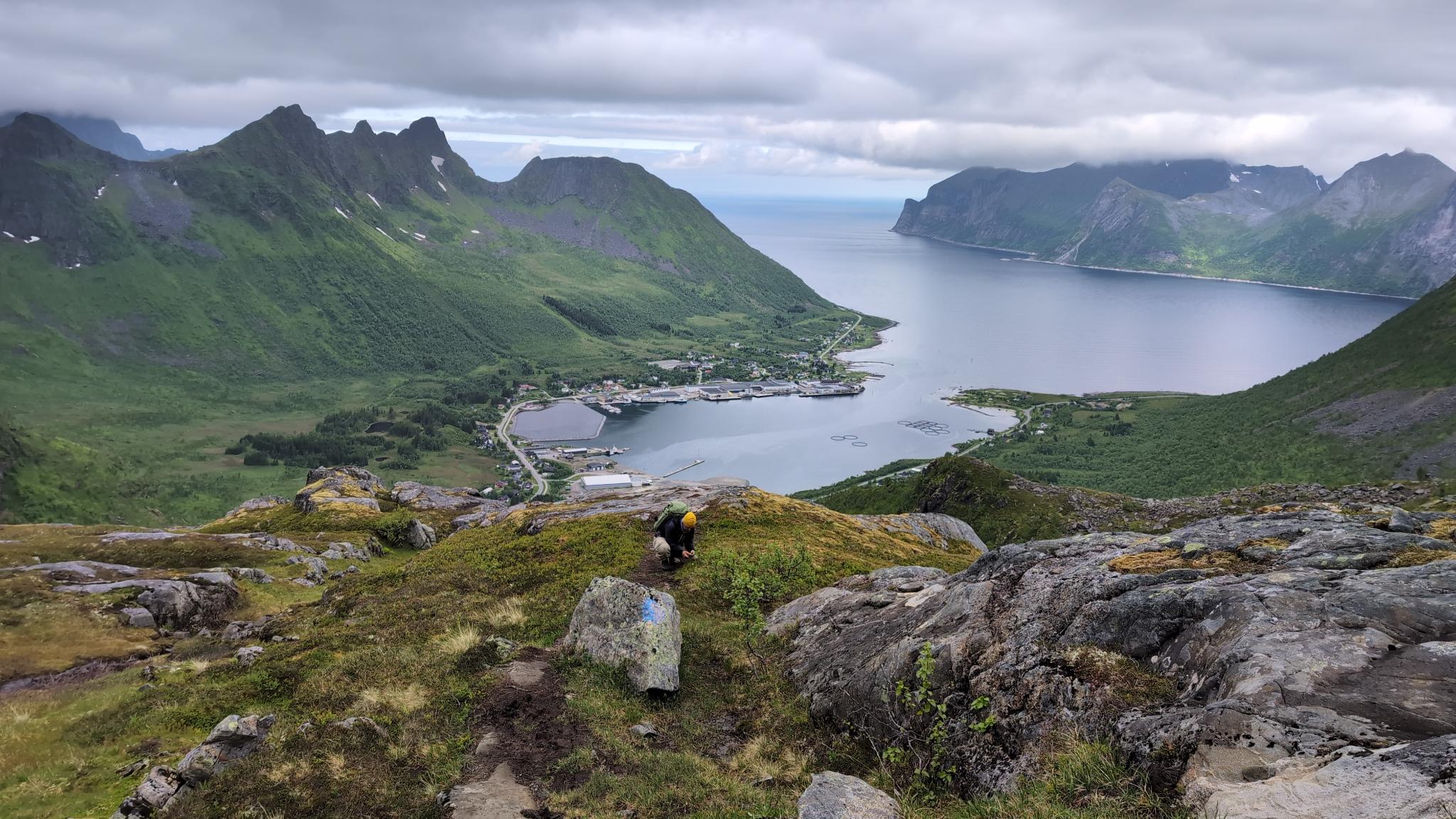 Mitternachtssonne hinter Wolkenband, Vögeli- und Blüemliwanderung – Fischflaute
