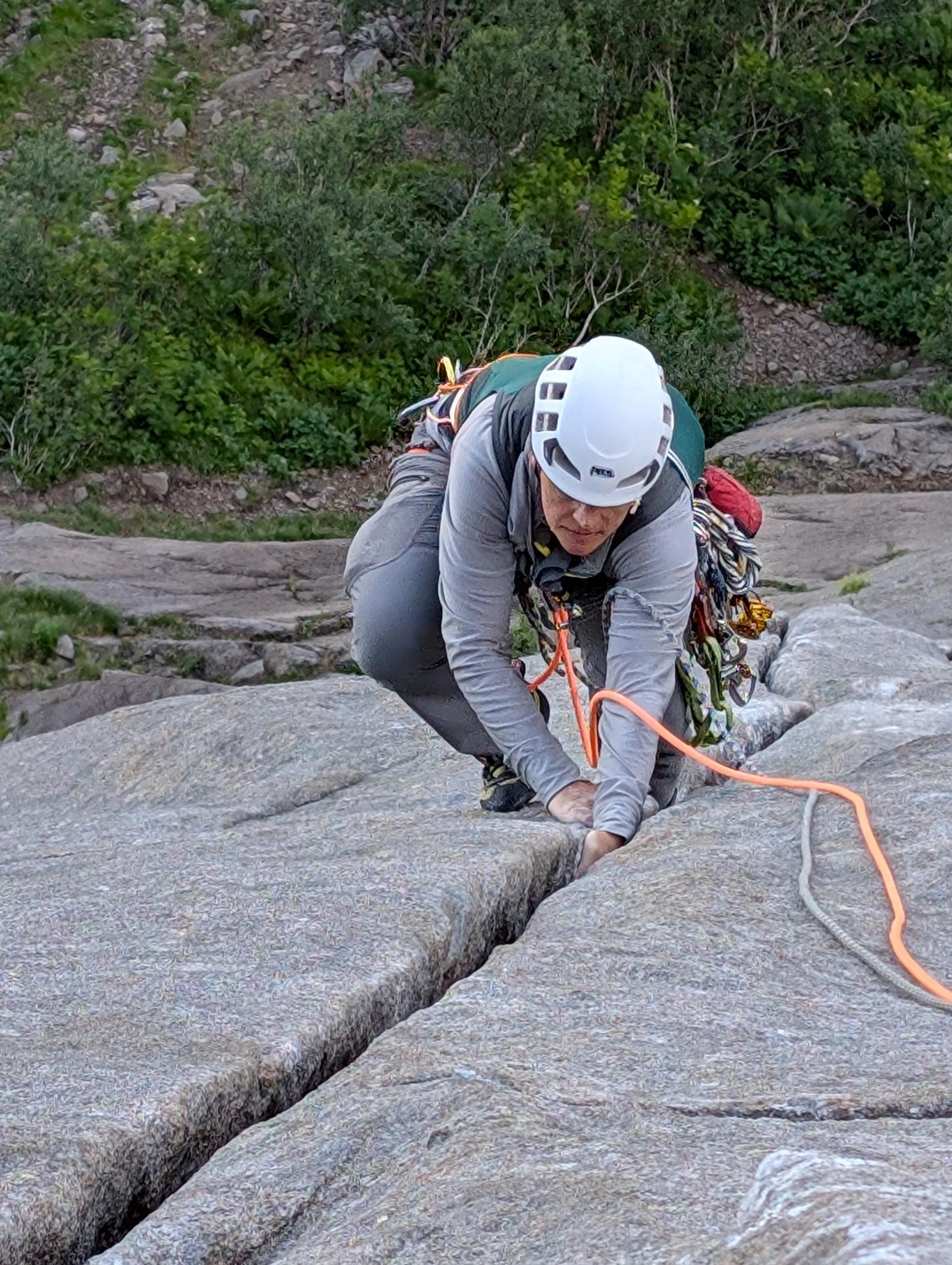 Bare Blåbær – nur Heidelbeeren, ganz für uns allein!