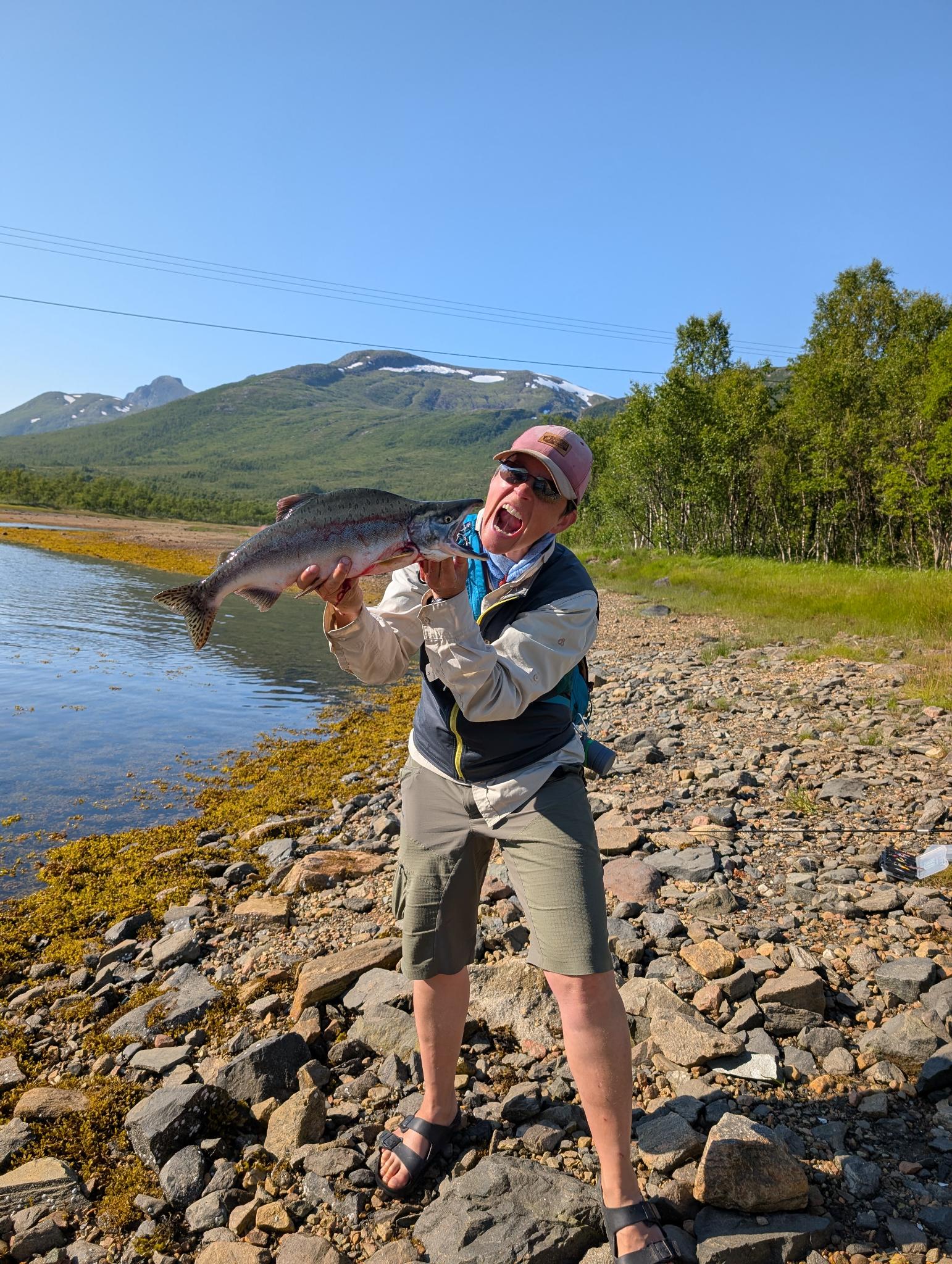 Senja zum Zweiten – kein, und buckliger Lachs